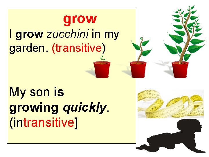 grow I grow zucchini in my garden. (transitive) My son is growing quickly. (intransitive]