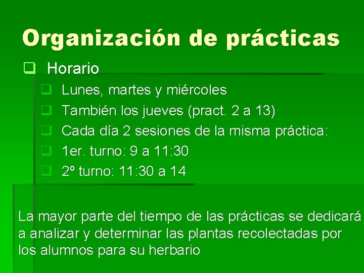 Organización de prácticas q Horario q q q Lunes, martes y miércoles También los