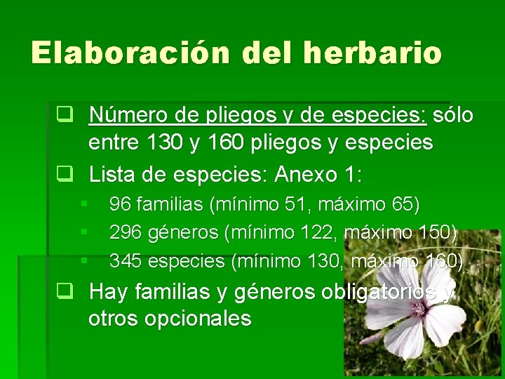 Elaboración del herbario q Número de pliegos y de especies: sólo entre 130 y