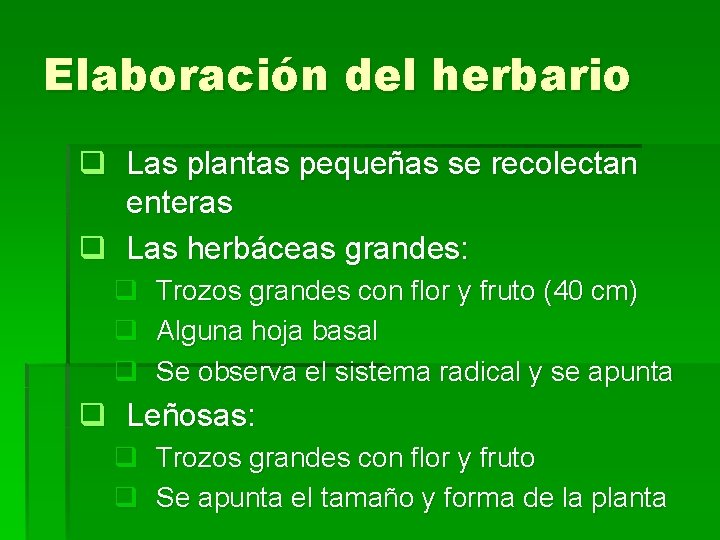Elaboración del herbario q Las plantas pequeñas se recolectan enteras q Las herbáceas grandes: