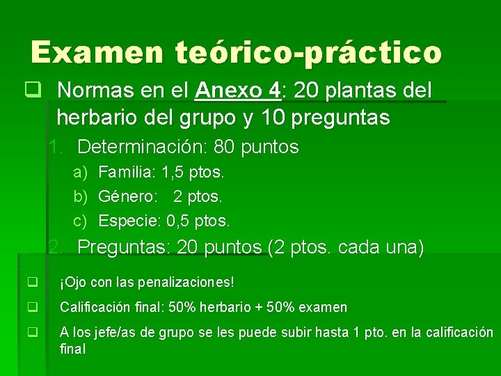Examen teórico-práctico q Normas en el Anexo 4: 20 plantas del herbario del grupo