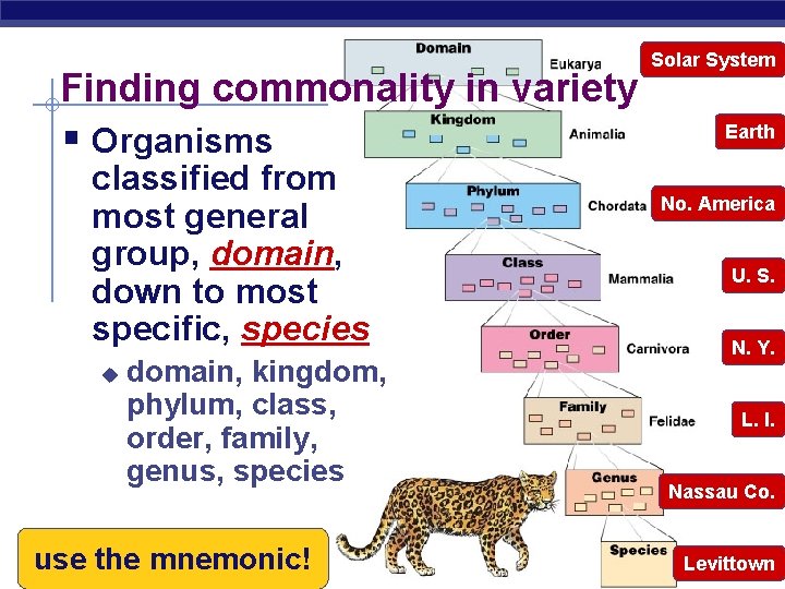 Finding commonality in variety § Organisms classified from most general group, domain, down to