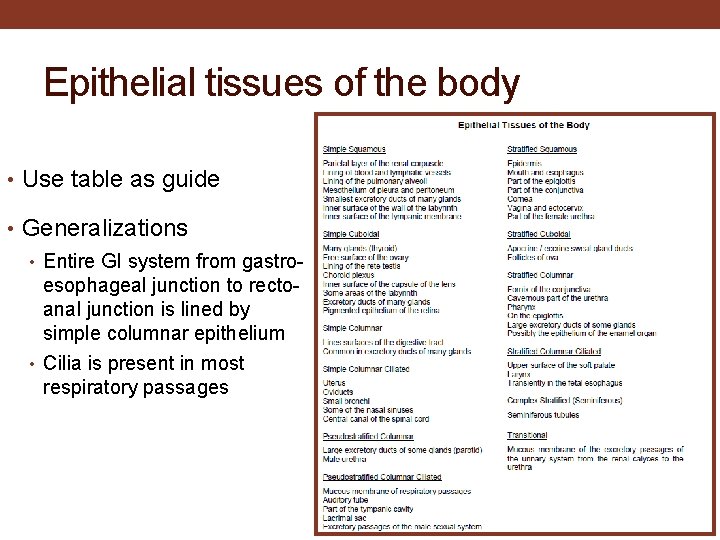 Epithelial tissues of the body • Use table as guide • Generalizations • Entire