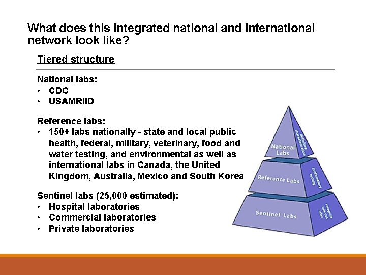 What does this integrated national and international network look like? Tiered structure National labs:
