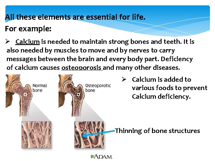 All these elements are essential for life. For example: Ø Calcium is needed to