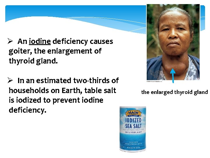 BIO 101 Life Science Chapter 2 Essential Chemistry