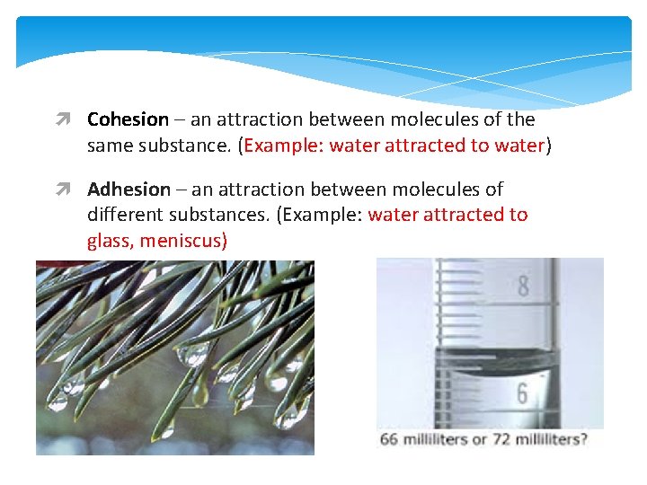  Cohesion – an attraction between molecules of the same substance. (Example: water attracted