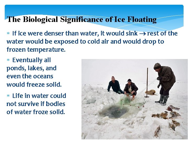 The Biological Significance of Ice Floating If ice were denser than water, it would
