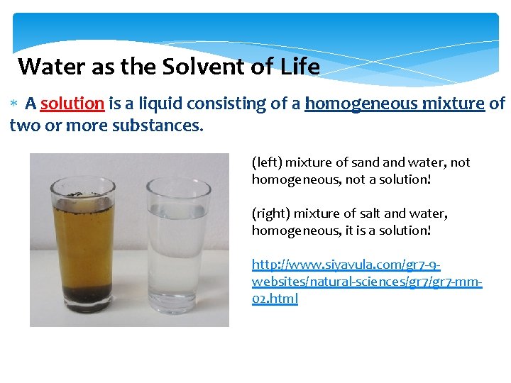 Water as the Solvent of Life A solution is a liquid consisting of a