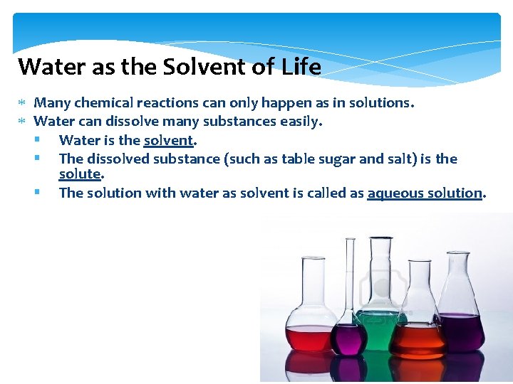 Water as the Solvent of Life Many chemical reactions can only happen as in