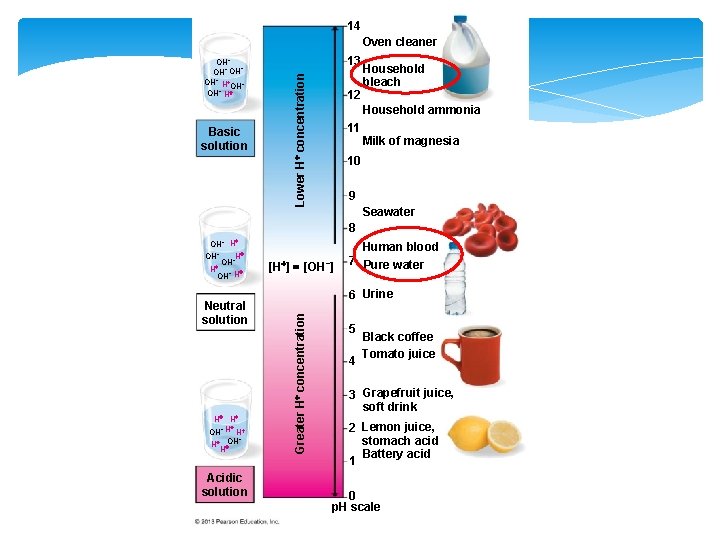 14 Oven cleaner Basic solution 13 Lower H concentration OH− − OH−OH − OH