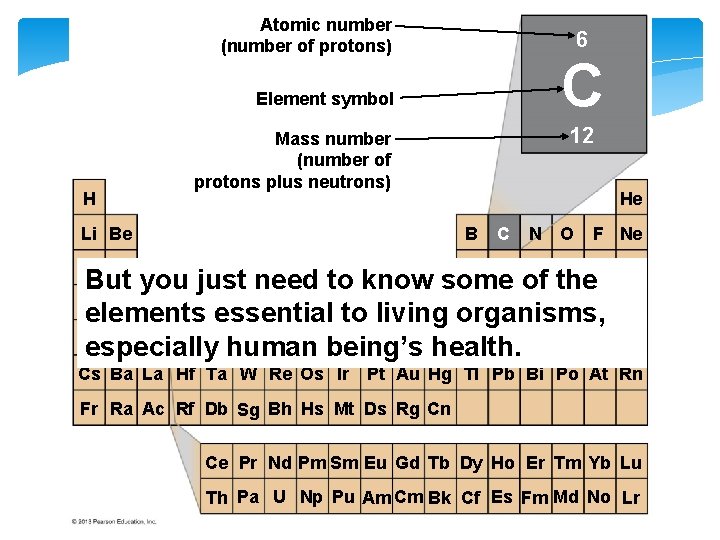 Figure 2. 1 a Atomic number (number of protons) 6 C Element symbol H