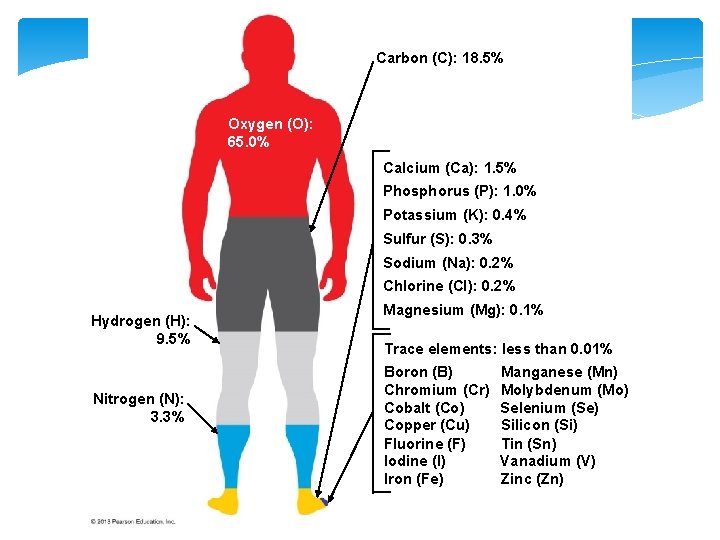 Figure 2. 2 Carbon (C): 18. 5% Oxygen (O): 65. 0% Calcium (Ca): 1.