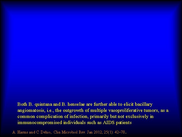 Both B. quintana and B. henselae are further able to elicit bacillary angiomatosis, i.