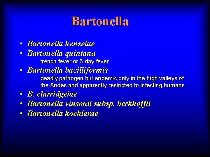 Bartonella • Bartonella henselae • Bartonella quintana trench fever or 5 -day fever •