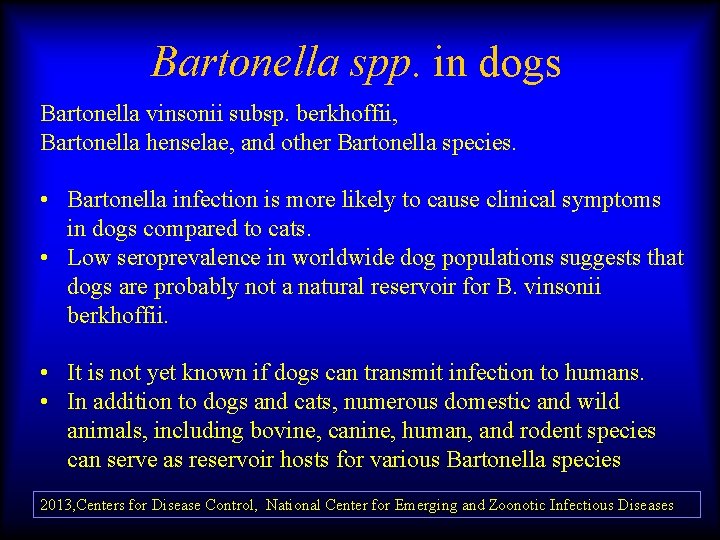 Bartonella spp. in dogs Bartonella vinsonii subsp. berkhoffii, Bartonella henselae, and other Bartonella species.