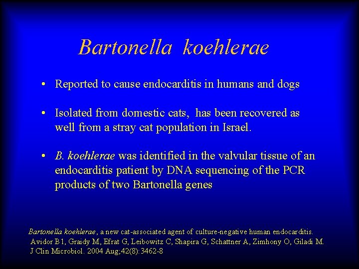 Bartonella koehlerae • Reported to cause endocarditis in humans and dogs • Isolated from