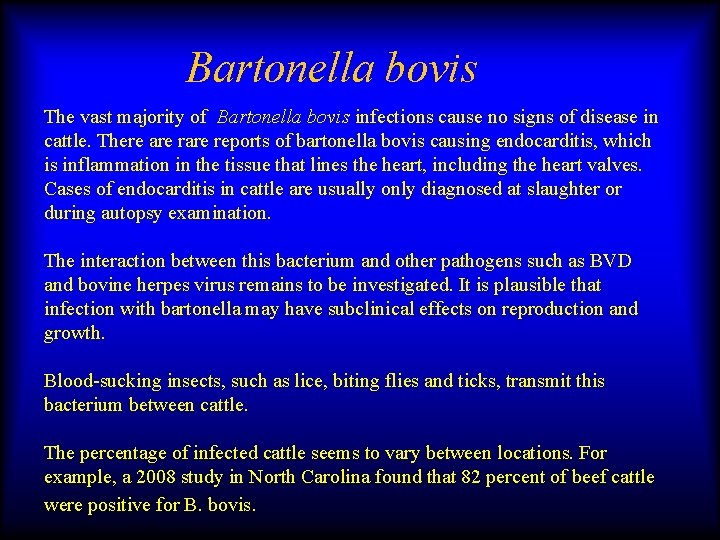Bartonella bovis The vast majority of Bartonella bovis infections cause no signs of disease