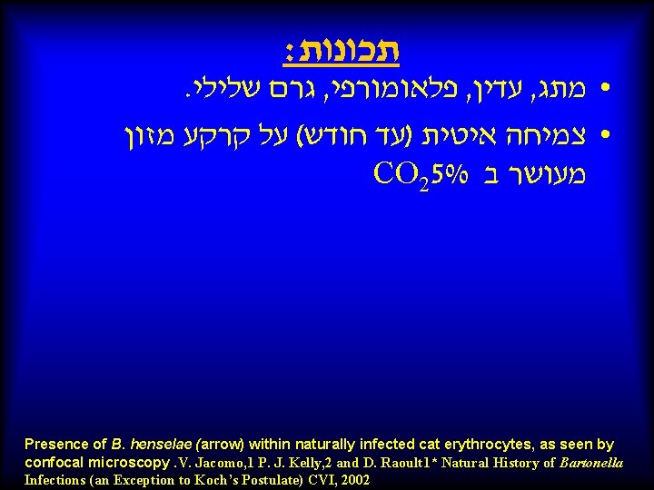 : תכונות . גרם שלילי , פלאומורפי , עדין , • מתג • צמיחה