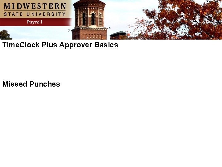 Time. Clock Plus Approver Basics Missed Punches 
