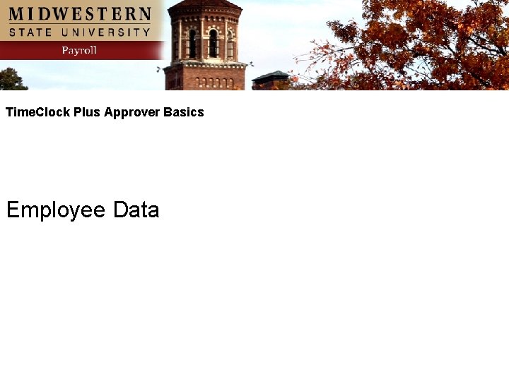 Time. Clock Plus Approver Basics Employee Data 