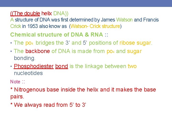 ((The double helix DNA)) A structure of DNA was first determined by James Watson