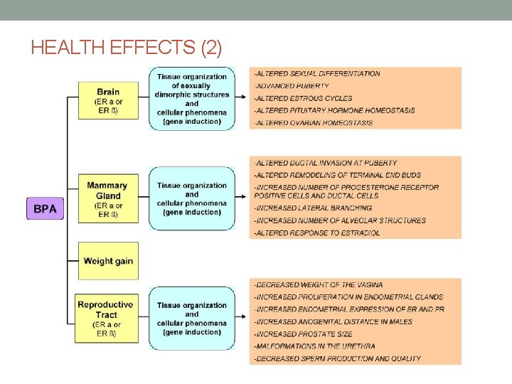 HEALTH EFFECTS (2) 