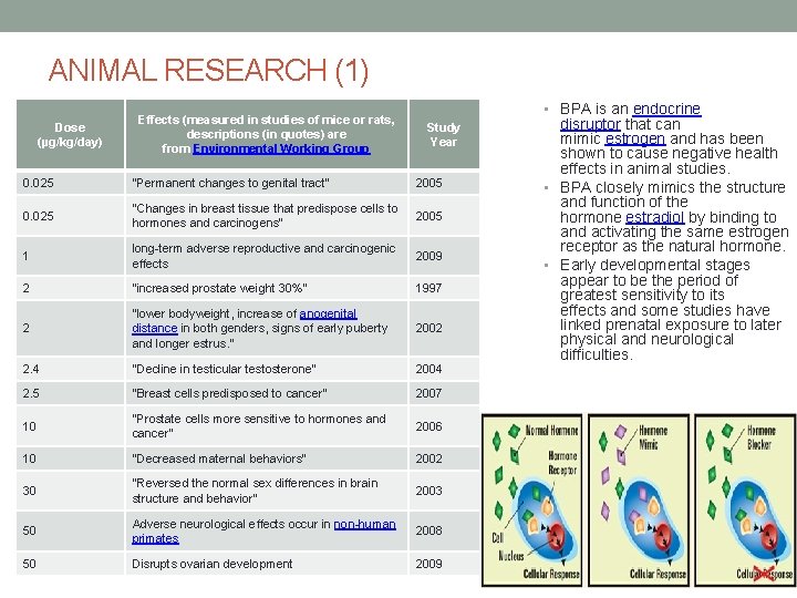 ANIMAL RESEARCH (1) Dose (µg/kg/day) Effects (measured in studies of mice or rats, descriptions