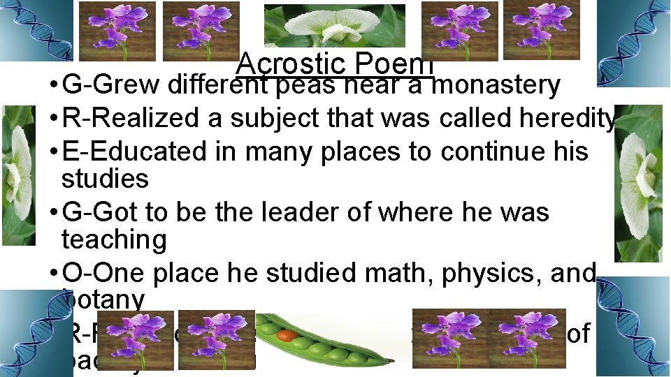 Acrostic Poem • G-Grew different peas near a monastery • R-Realized a subject that