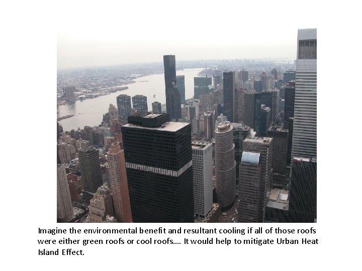 Imagine the environmental benefit and resultant cooling if all of those roofs were either