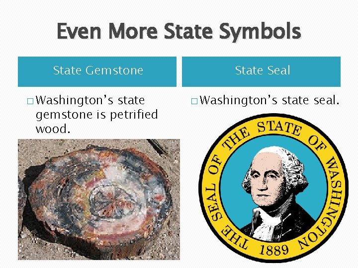 Even More State Symbols State Gemstone � Washington’s state gemstone is petrified wood. State