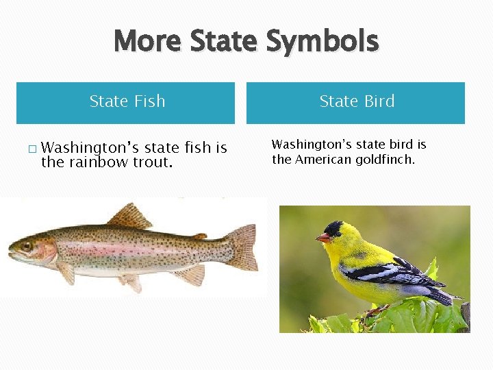 More State Symbols State Fish � Washington’s state fish is the rainbow trout. State