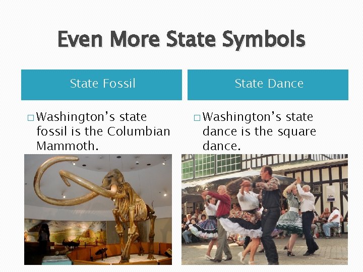 Even More State Symbols State Fossil � Washington’s state fossil is the Columbian Mammoth.
