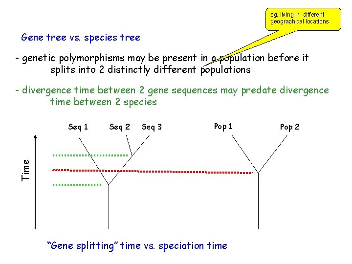 eg. living in different geographical locations Gene tree vs. species tree - genetic polymorphisms