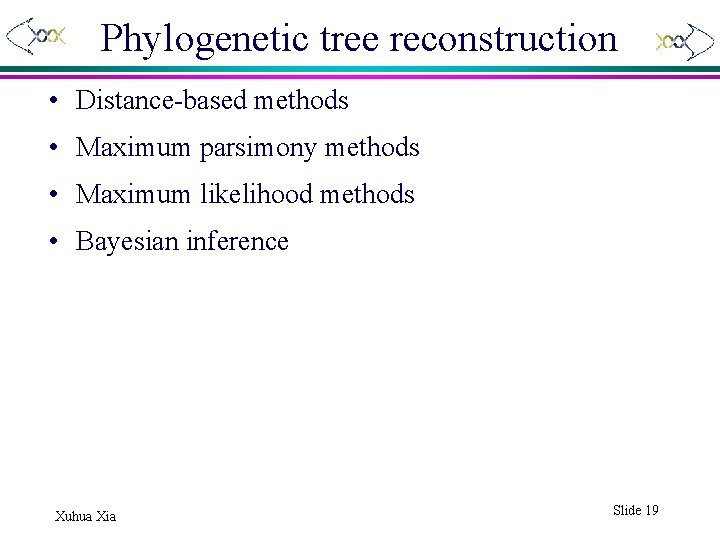 Phylogenetic tree reconstruction • Distance-based methods • Maximum parsimony methods • Maximum likelihood methods