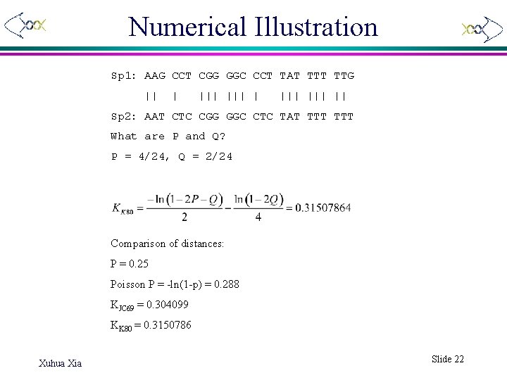 Numerical Illustration Sp 1: AAG CCT CGG GGC CCT TAT TTG || | |||