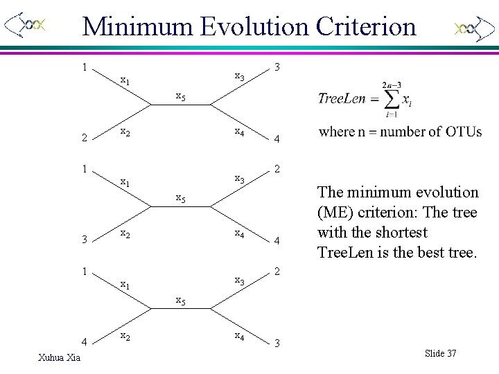 Minimum Evolution Criterion 1 x 3 x 1 3 x 5 2 1 x