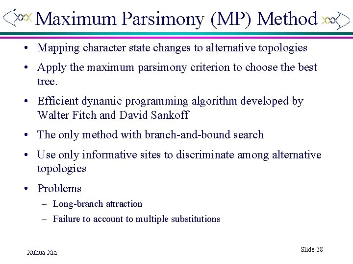 Maximum Parsimony (MP) Method • Mapping character state changes to alternative topologies • Apply