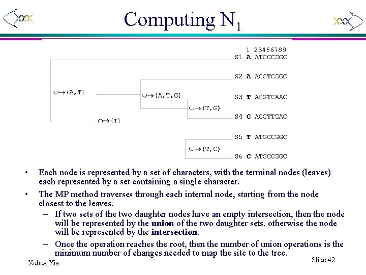 Computing N 1 • • Each node is represented by a set of characters,