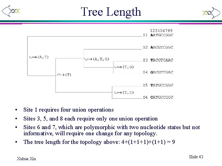 Tree Length • Site 1 requires four union operations • Sites 3, 5, and