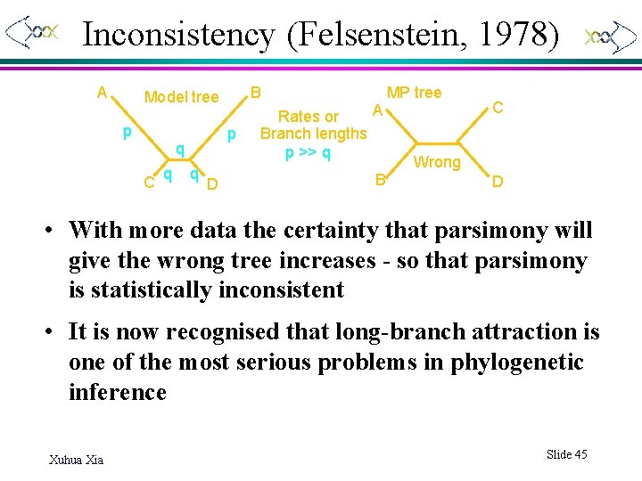 Inconsistency (Felsenstein, 1978) A B Model tree p p q C q q D