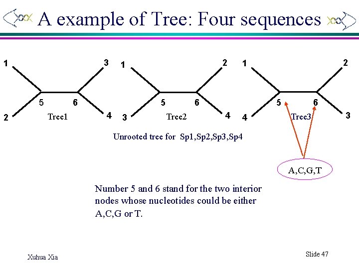 A example of Tree: Four sequences 3 1 5 2 6 Tree 1 2