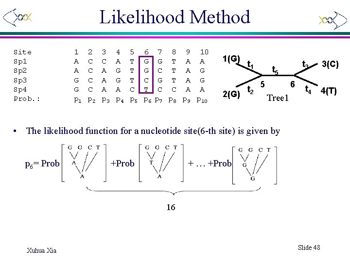 Likelihood Method Site Sp 1 Sp 2 Sp 3 Sp 4 Prob. : 1