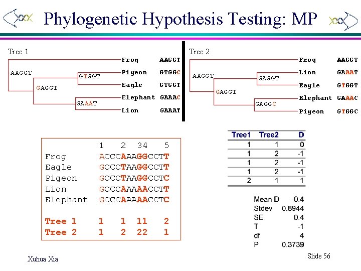 Phylogenetic Hypothesis Testing: MP Tree 1 Tree 2 AAGGT GTGGT GAGGT Frog AAGGT Pigeon