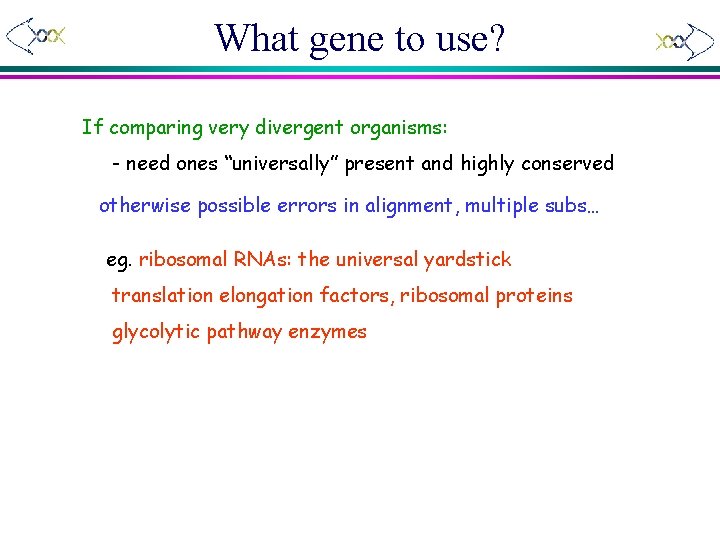 What gene to use? If comparing very divergent organisms: - need ones “universally” present