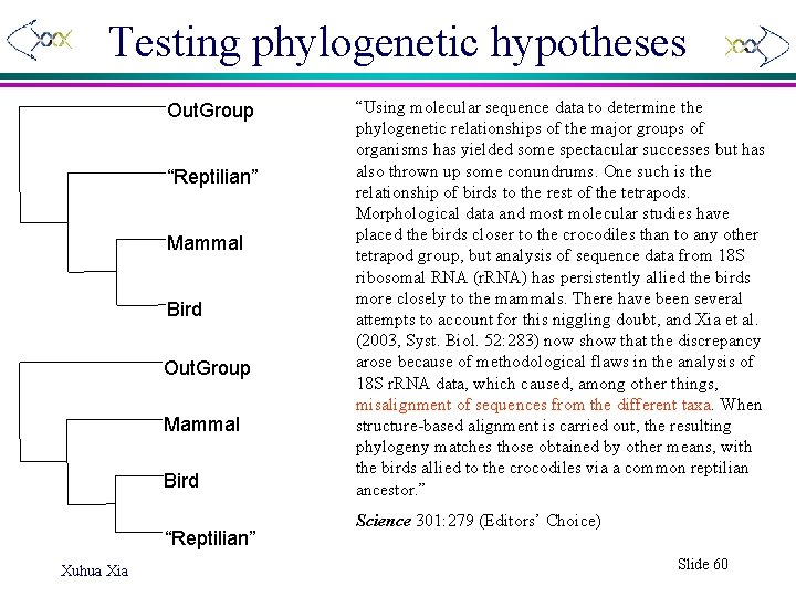 Testing phylogenetic hypotheses Out. Group “Reptilian” Mammal Bird Out. Group Mammal Bird “Reptilian” Xuhua