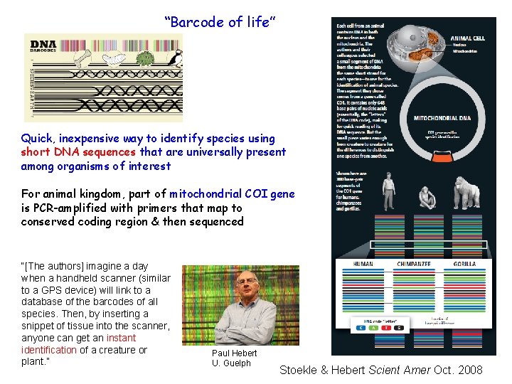 “Barcode of life” Quick, inexpensive way to identify species using short DNA sequences that
