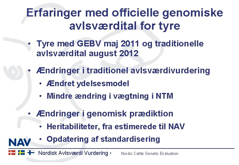 Erfaringer med officielle genomiske avlsværdital for tyre • Tyre med GEBV maj 2011 og