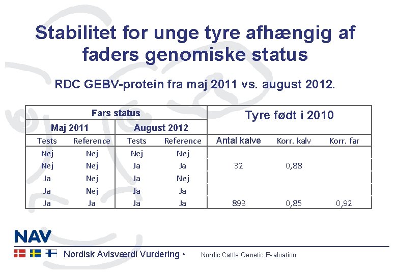 Stabilitet for unge tyre afhængig af faders genomiske status RDC GEBV-protein fra maj 2011