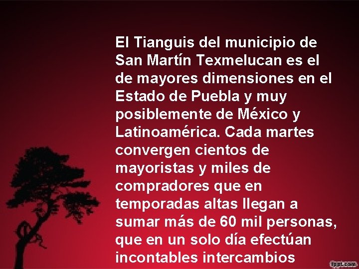 El Tianguis del municipio de San Martín Texmelucan es el de mayores dimensiones en